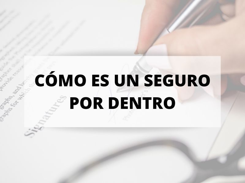 Descubre cómo es un seguro por dentro