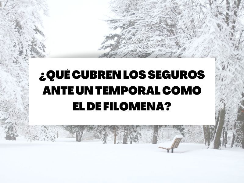 Descubre qué cubren los seguros ante un temporal como el de Filomena